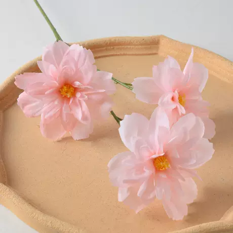 3 happy flowers