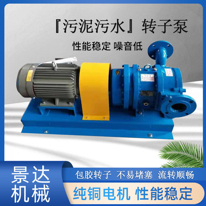 螺旋活塞泵 输送污泥污水泥浆泵 包胶转子泵排污自吸大流量转子泵