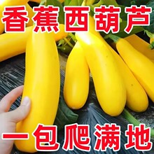 �㽶�����J�N���ͺ��ļ��Nֲ�SƤˮ���Ϳ������߲˷N���s���S����