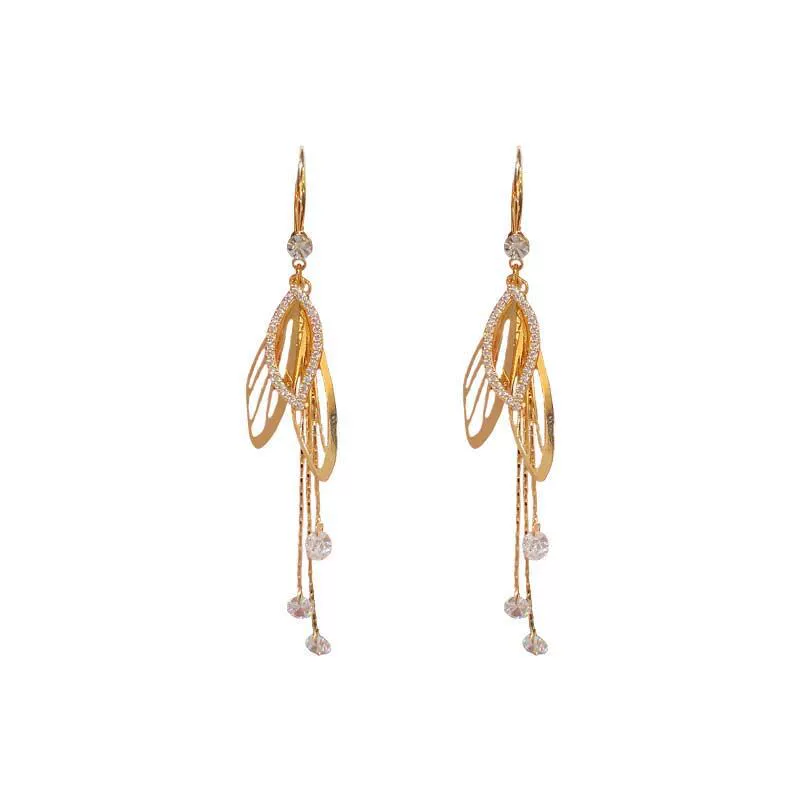 Long goods with tassels, design earrings, internet celebrity, fitted