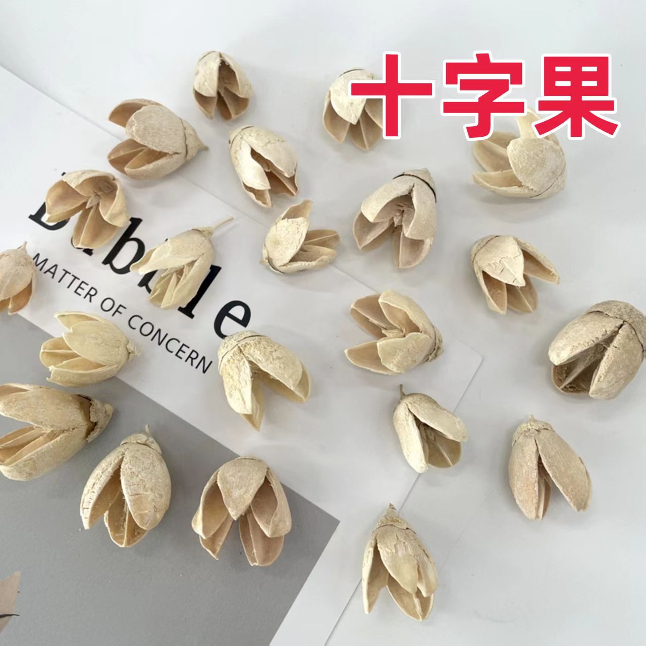 ��Ҭ�ӻ������ӵ���������Ȼ�ɻ�����Ҭ�ӿǻ�DIY�ֹ���Ӱ����