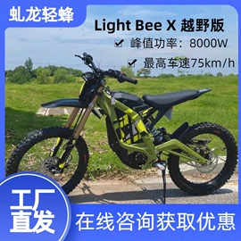 其他摩托车;其他电动车;电动摩托车