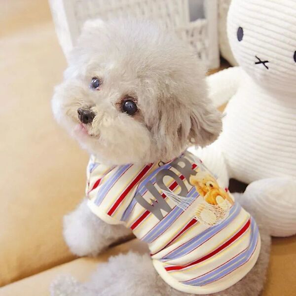 Pet Cat Bichon Small Size Dogs Teddy Clothes Autumn and Winter Clothes Spring and Summer Thin Vest Colorful Stripesd Bear