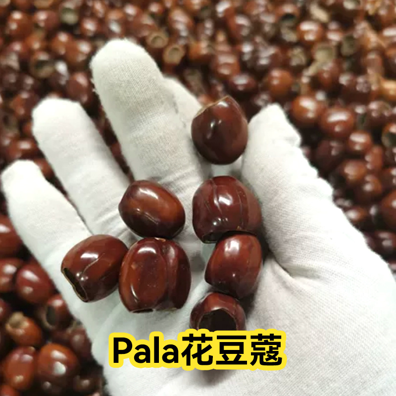 印尼鸭健藤果壳风铃diy材料包自制果壳音手工制作手摇铃juju果壳