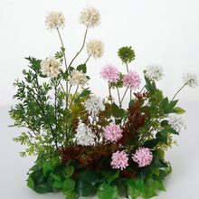 ����5�^ѩ����滨5�^����ĥë���ٻ���c���üҾӻ�ˇ�쾰