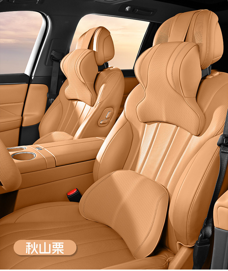 BMW headrest for 3 Series, 5 Series, X1/X3/X5/i3 car seat cushion, neck support pillow, lumbar support pillow, car pillow