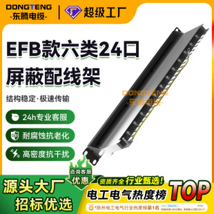 Processing and Customizing Efb Category 6 24-Port Patch Panel Network Cable Manager Engineering Shielding and Wiring Network Cable