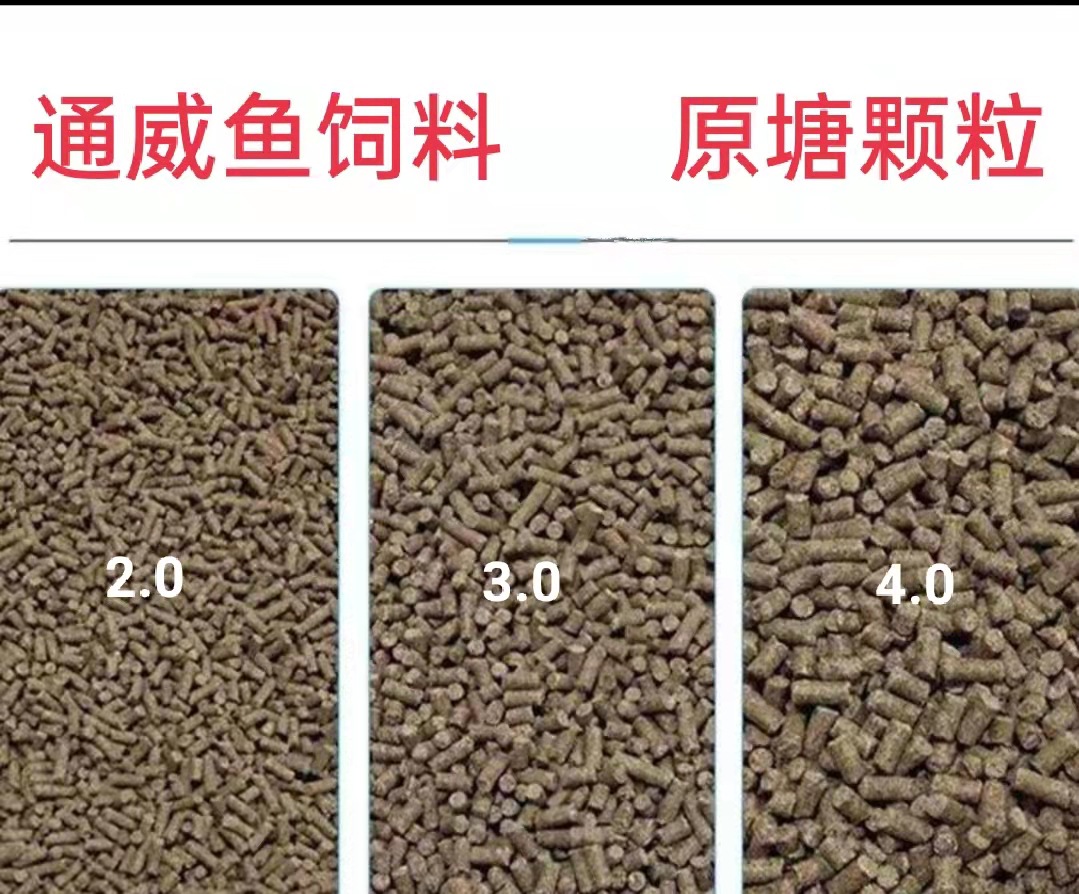 微信圖片_20211011035012