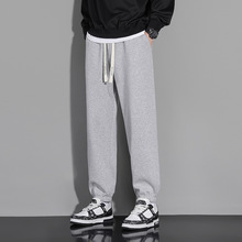 ����ֱ����ʿ�ļ�����2024�¿����e�ٴ��Lѝ�����\�����_�ŷ��lѝ