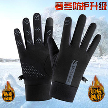 �ﶬ����Ů�|�����׼ӽq��ů���������T�з��L������ˮ���������l