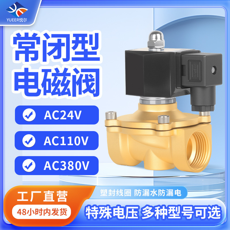 Ac24V380V110V Outdoor Waterproof Pipeline Automatic Control Switch Water Valve Valve Brass Normally Closed Solenoid Valve