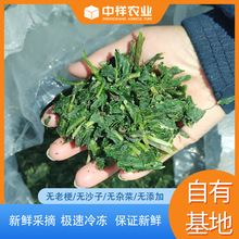 ߲ѹӢԭϬF؛SлطNֲǰԃ