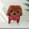 Brown bow tie