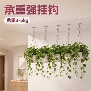 �W���A�F�|���h������������h����3-5kgñ���ռ{�h�ӬF�����s