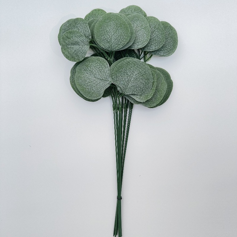 단일 네잎 유칼립투스 잎