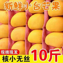 广西小台芒果新鲜当季水果树上熟2/5/10斤整箱包邮百色台农芒果