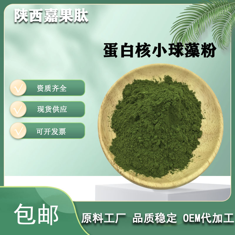 蛋白核小球藻粉 绿藻粉源头厂家 另有小球藻片供应 破壁小球藻粉