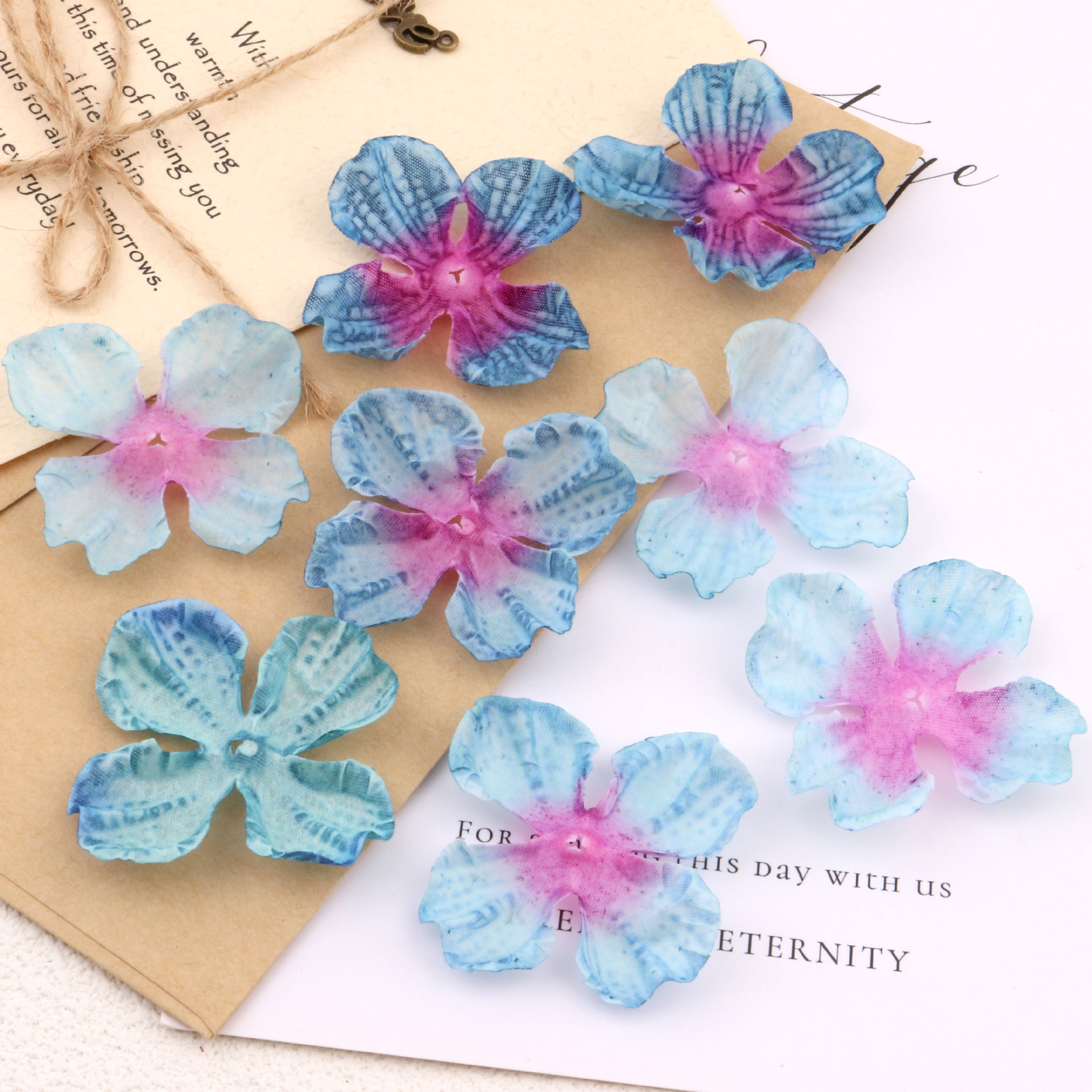 2색 블루 50개입 1팩