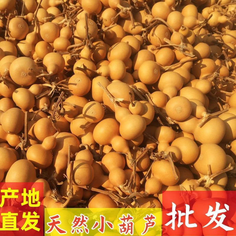文は手を捻ってヒョウタンの置物を飾って皿を完成します。|undefined
