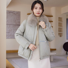 海宁新绵羊皮真皮皮衣羽绒服韩版宽松休闲皮草外套狐狸毛填充鹅绒