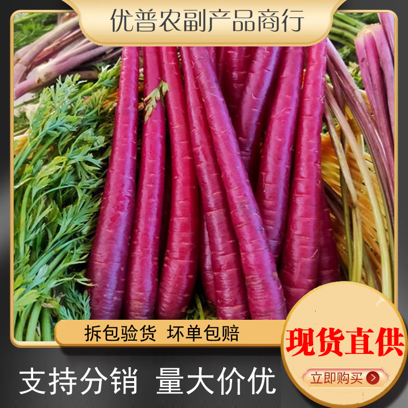 Yunnan Dali Farm Purple Carrots Wild Mini Carrots Raw Fruit Purple Jade Fresh Radish Red Skin