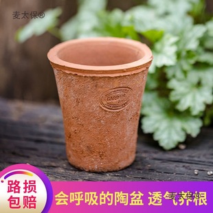 �t�ն���С���躆�s�����մɻ�����������͸����ˮ����������̫��