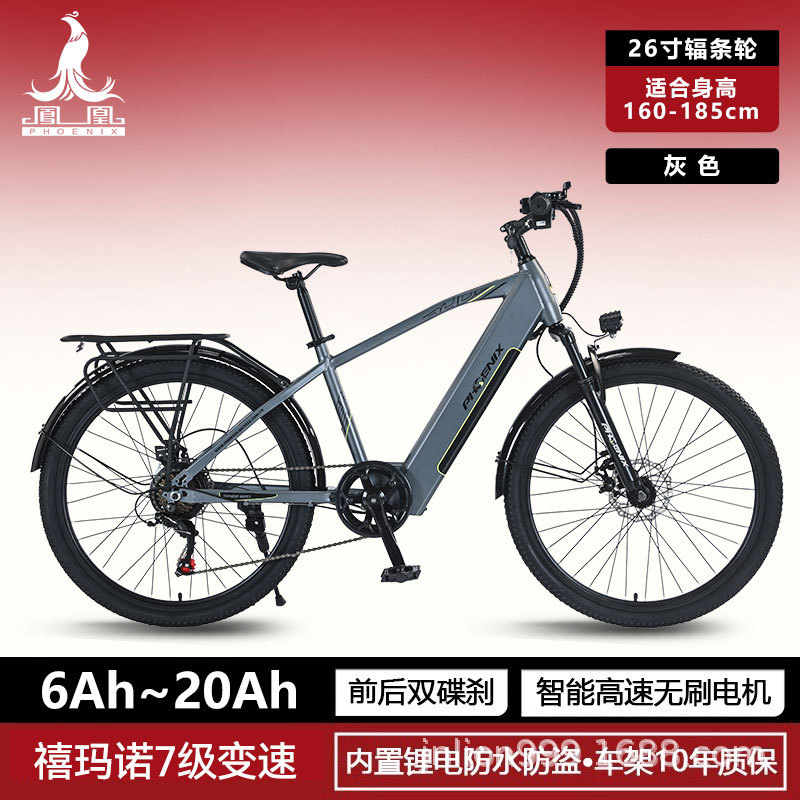 El mismo modelo transfronterizo de Yadea, especialmente para puntos de venta autoconstruidos en el extranjero, material de acero con alto contenido de carbono de 26 pulgadas, batería de litio para ayudar a la bicicleta de montaña