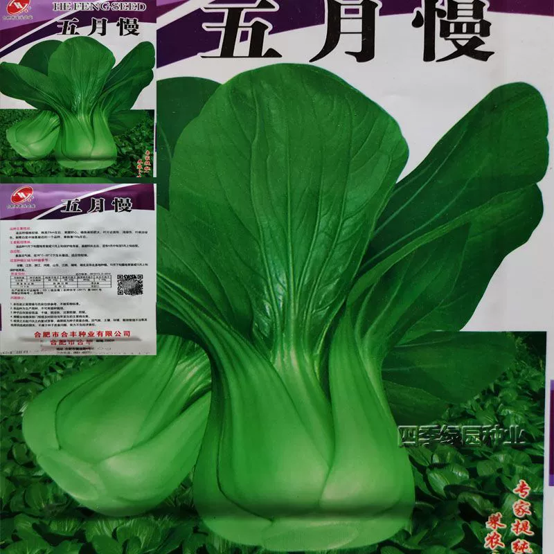 Может Медленно Семена Овощей Горшечные Семена Овощей В Ферме Двор Балкон