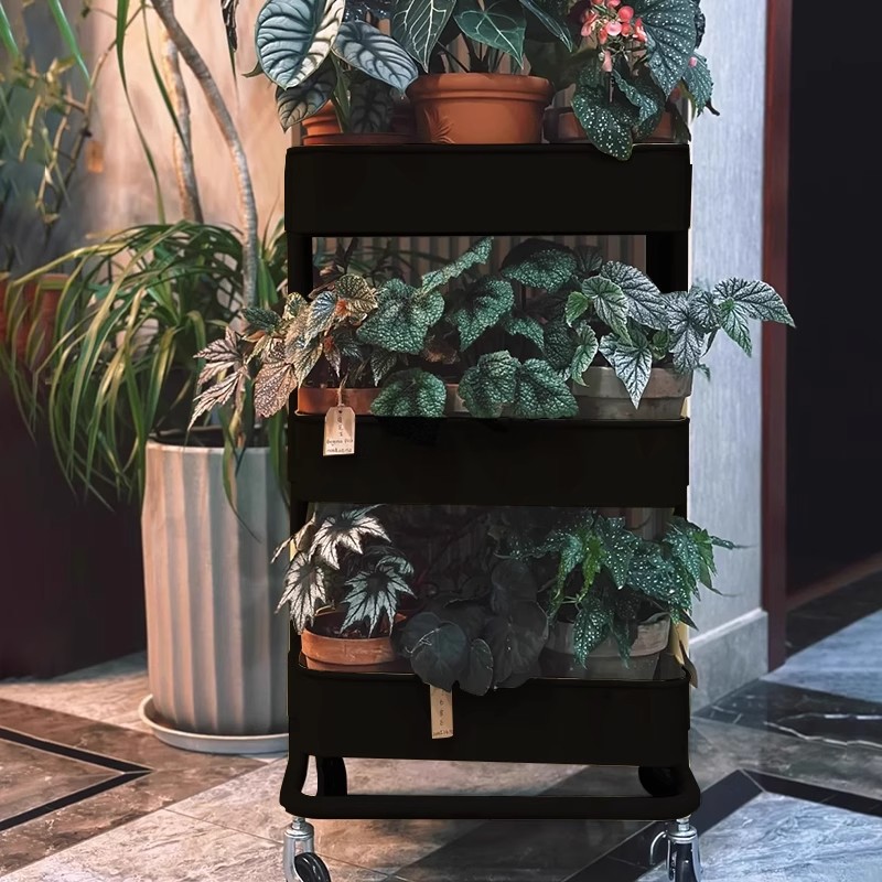Estante para carro, estante para flores de plantas verdes, sala de estar, piso, balcón extraíble, estante para plantas, estante para macetas