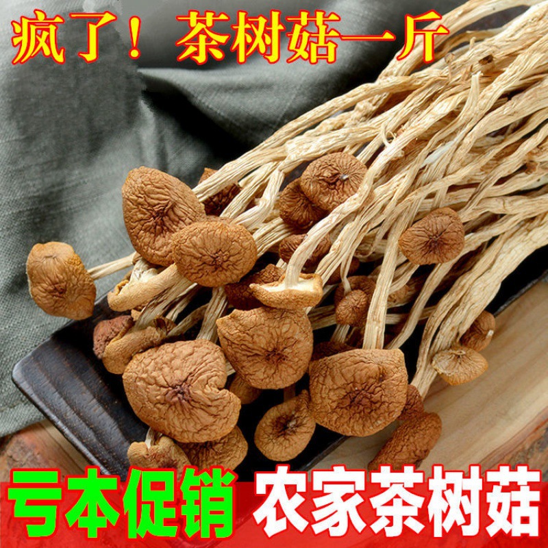 Farm Chaxingu Chaxingu Chaxingu Agrocybe dried food 250g50g