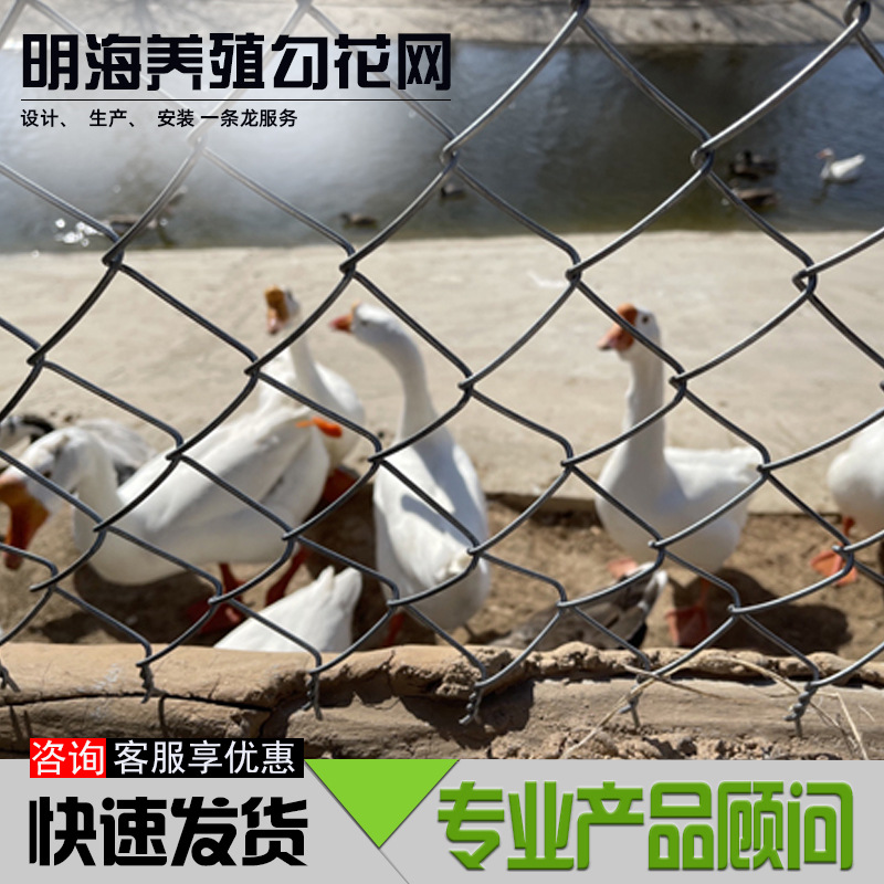 大孔勾花网果园圈地铁丝网养狗猪羊钢丝网围栏网养殖护栏果园围栏