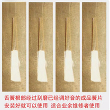 ���J�z�͞������Ƭ�{�{���{�{�{�{���� �S��ֱ�N��ƷëƬ