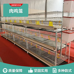 肉鸡笼 鸡笼厂家产鸡笼清粪托盘鸡笼子喂料机 做养殖设备肉鸡