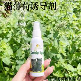 宠物用品批发猫玩具50ML猫薄荷虫瘿果喷剂猫薄荷喷雾猫咪舒缓诱导