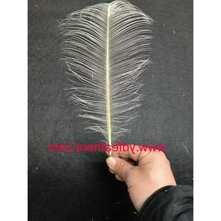 �W����ɫ���z��ë �װ�ɫ�r�Bë�^�ñ�33-38���� ������������