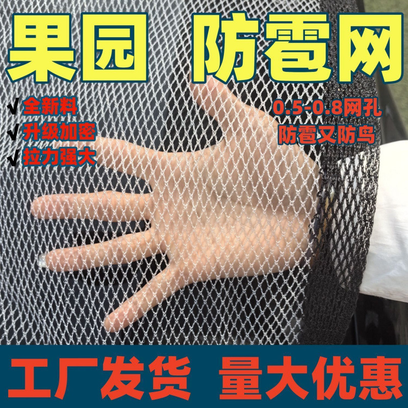 防雹网果园农用防冰雹网葡萄户外防鸟网防冰雹网厂家直销批发