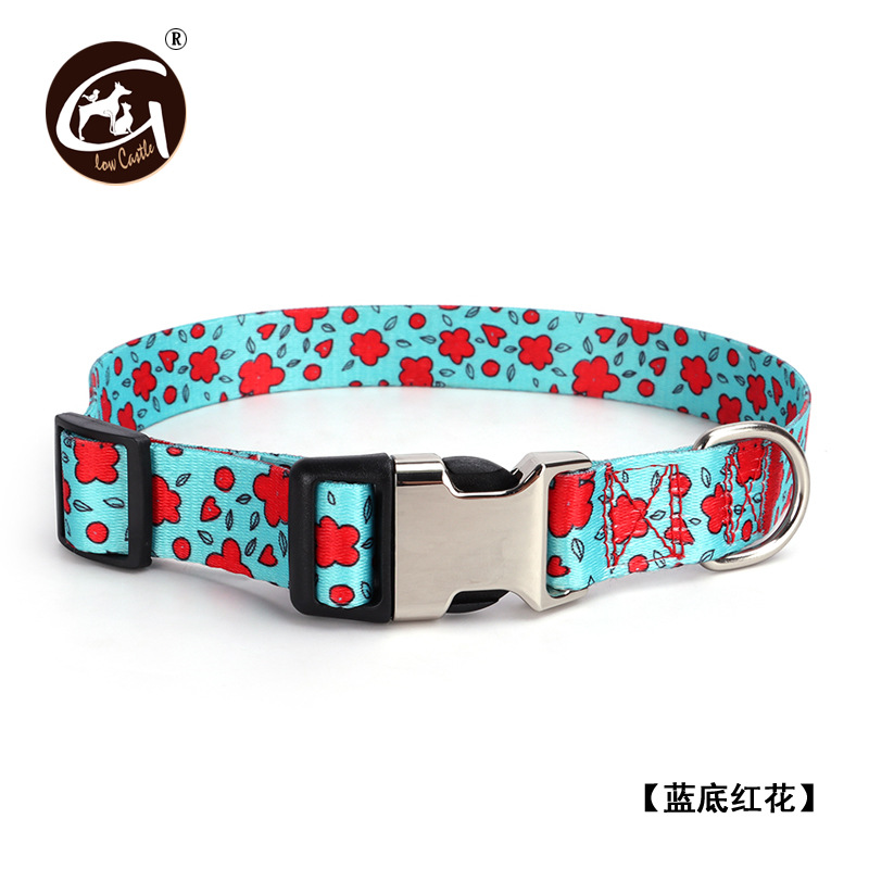 파란색 배경 홍화