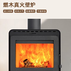 暖炉真火燃木現代民宿農村家庭用リビングルーム室内ストーブ薪ストーブ省エネ環境保護グリーン