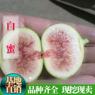 �o���������Ϸ������Nֲ���Ե��԰������۟o�������箔��Y��