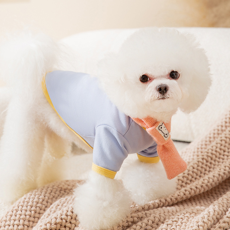 Otoño y invierno nuevo estilo de mascota macarón etiqueta camiseta de oso con ropa de perro y gato fuera