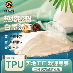 工厂直供高弹柔软撒粉热转印胶粉白墨烫画TPU热熔胶粉dtf胶粉