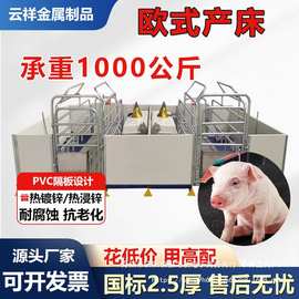加厚欧式母猪产床2.4*3.6米钢管热浸锌猪用产床PVC围栏产保两用床