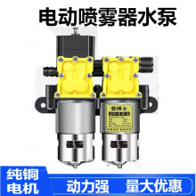 늄Ӈ��F��ˮ���r��12V������Ĥ��늙CСˮ���R�_��ș�C���