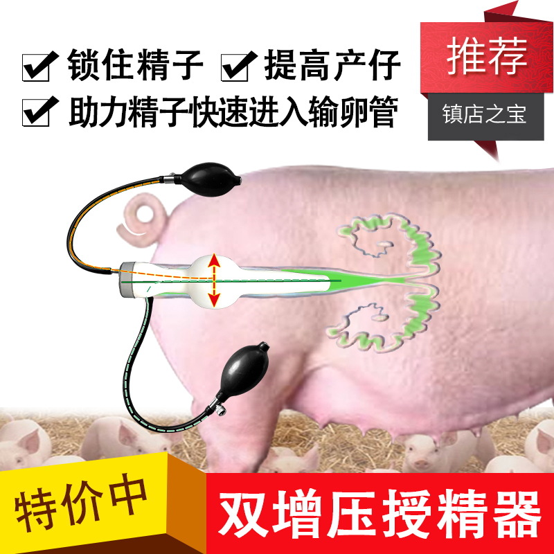 猪用双增压授输精器猪授精器畜牧养殖输精瓶兽用母猪人工输授精器