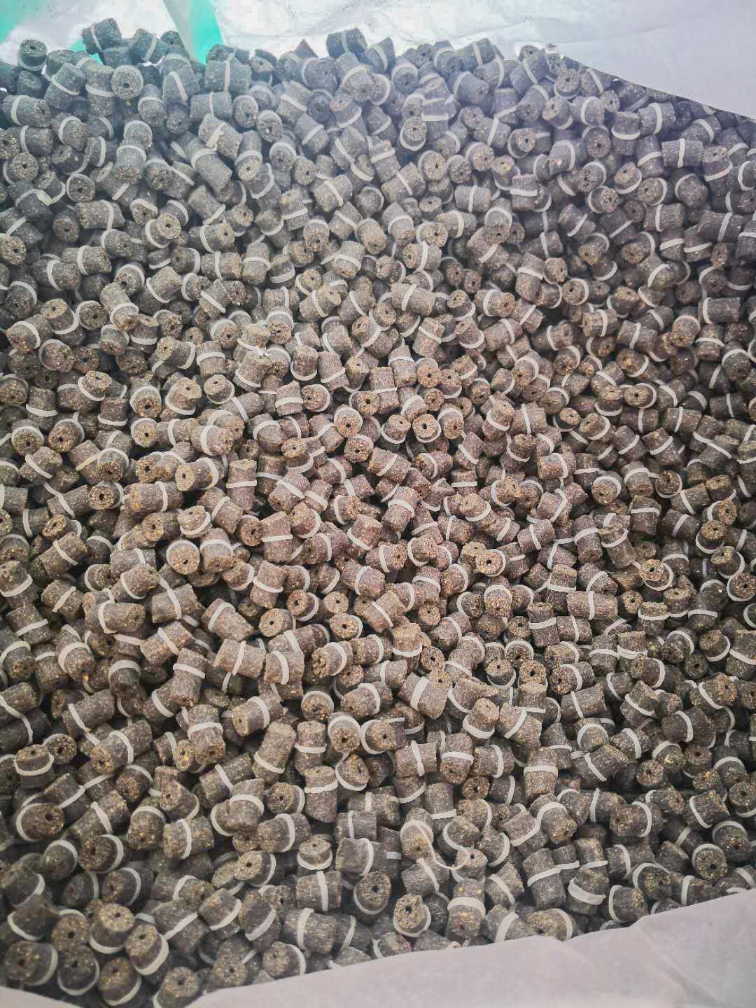 8574298313_1475966807