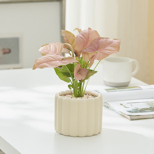 �F؛�t�ۼ��˺Ϲ�����������Gֲ�k���������҃Ⱥ��Bֲ������ȩ