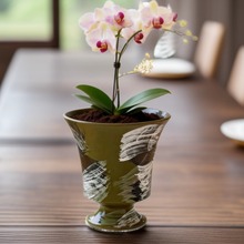 ������մɻ�ƿ�ֹ�����ˮ�������b[�������m����Gֲ���Ի���