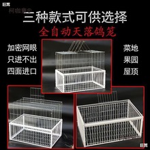 ��������ץ���ӻ\ȫ�Ԅ�ֻ�M��������Ұ�����䷽�����������̫��