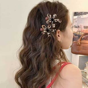 �nϵ��ᱪ�y̫ꖻ��l�A��l�����A2025�����¿�߶˂�߅�A�l��