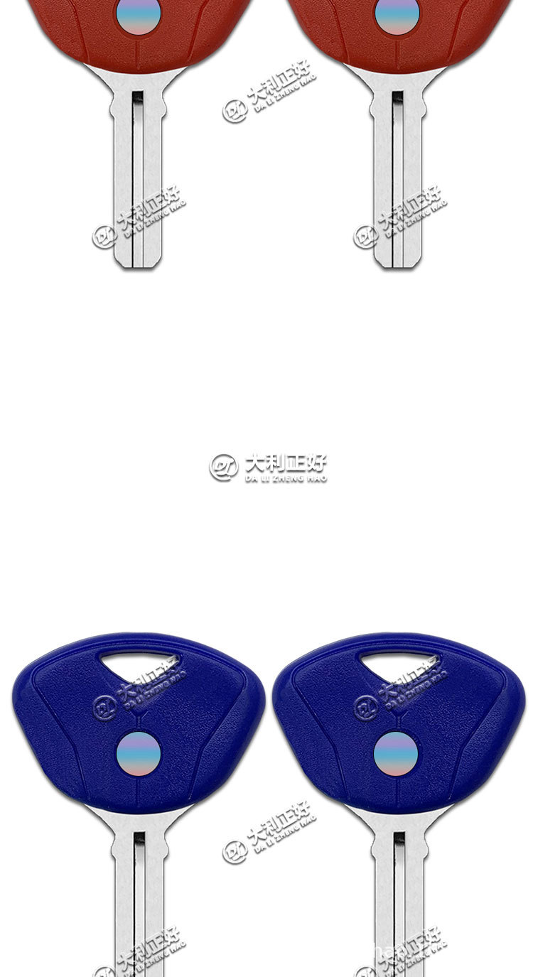 Suitable for BMW K1200 K1300 S1000R R1200R HP4 Chip motorcycle key embryo